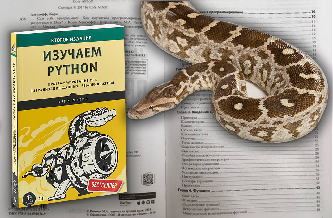 Книга Э. Мэтиза «Изучаем Python».